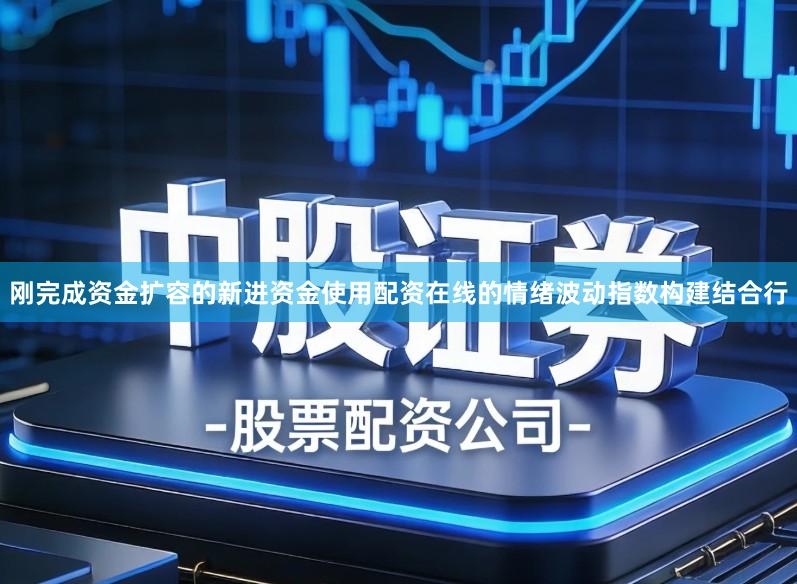 刚完成资金扩容的新进资金使用配资在线的情绪波动指数构建结合行