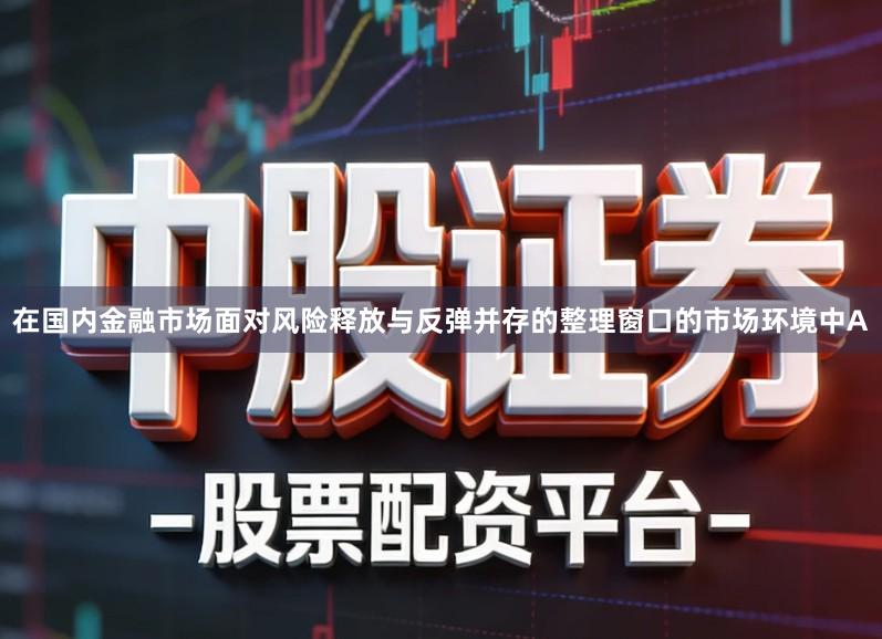 在国内金融市场面对风险释放与反弹并存的整理窗口的市场环境中A