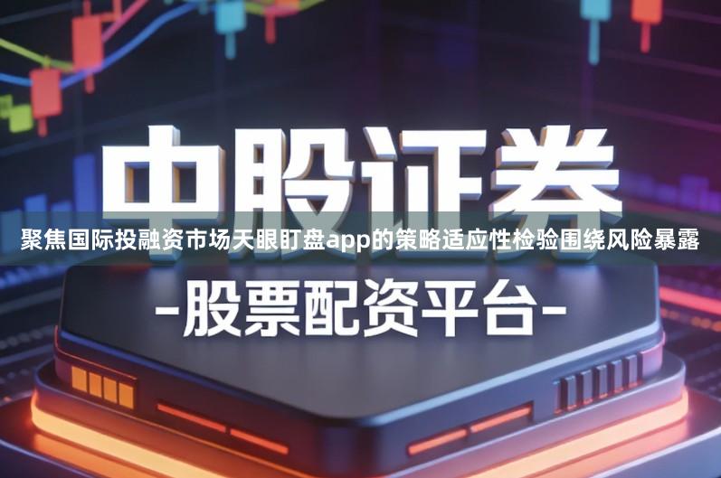 聚焦国际投融资市场天眼盯盘app的策略适应性检验围绕风险暴露