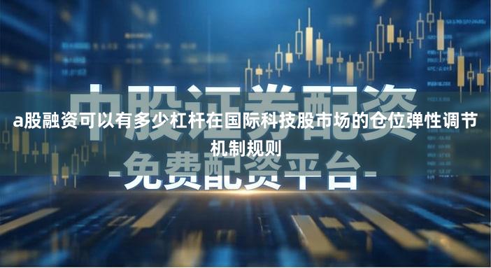 a股融资可以有多少杠杆在国际科技股市场的仓位弹性调节机制规则