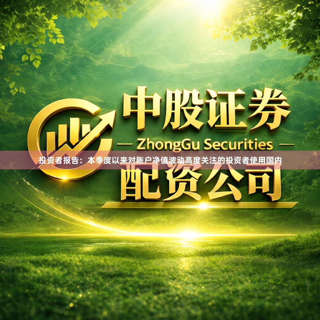 投资者报告：本季度以来对账户净值波动高度关注的投资者使用国内