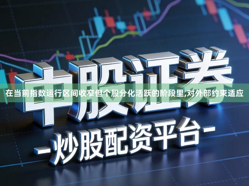 在当前指数运行区间收窄但个股分化活跃的阶段里,对外部约束适应